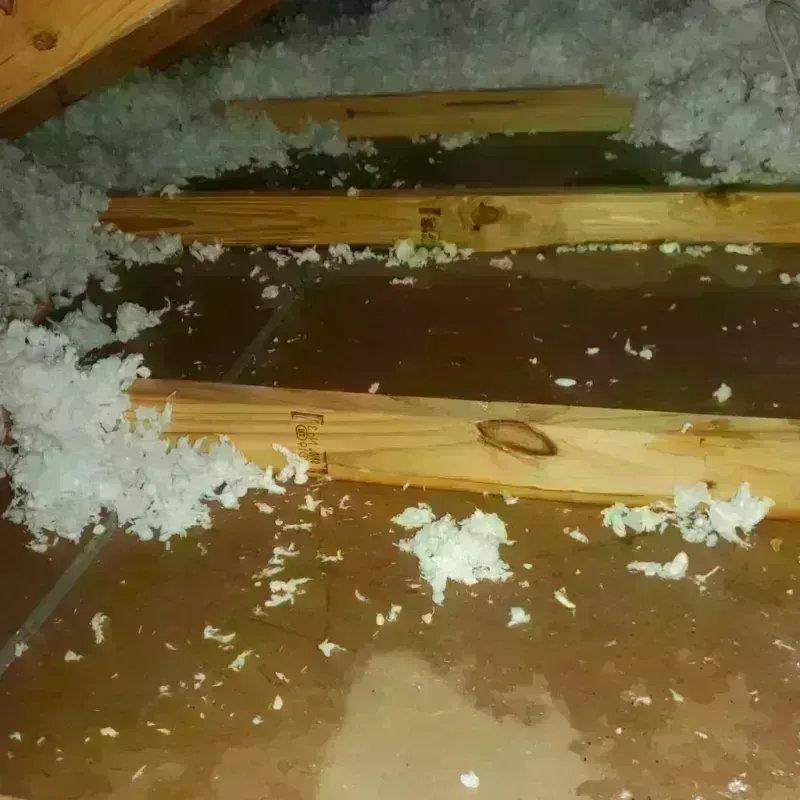 Attic Water Damage in Kinston, NC